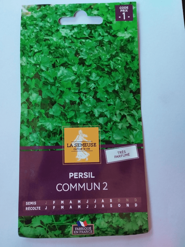 Persil Commun 2
