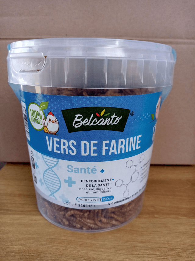 Vers de farine
