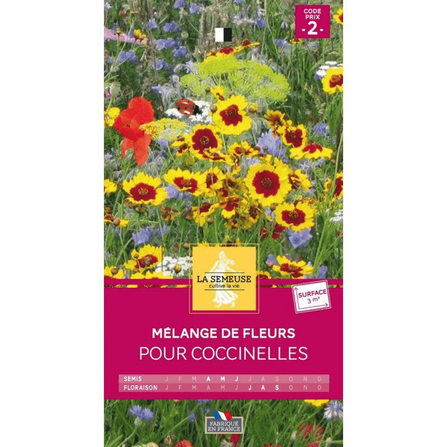 MELANGE DE FLEURS POUR COCCINELLES
