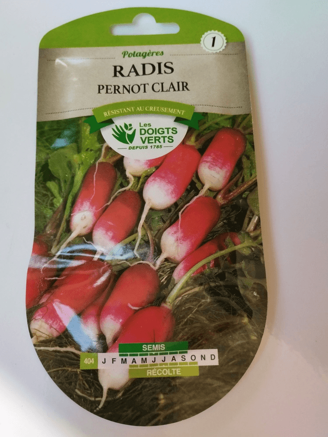 Radis Pernot clair