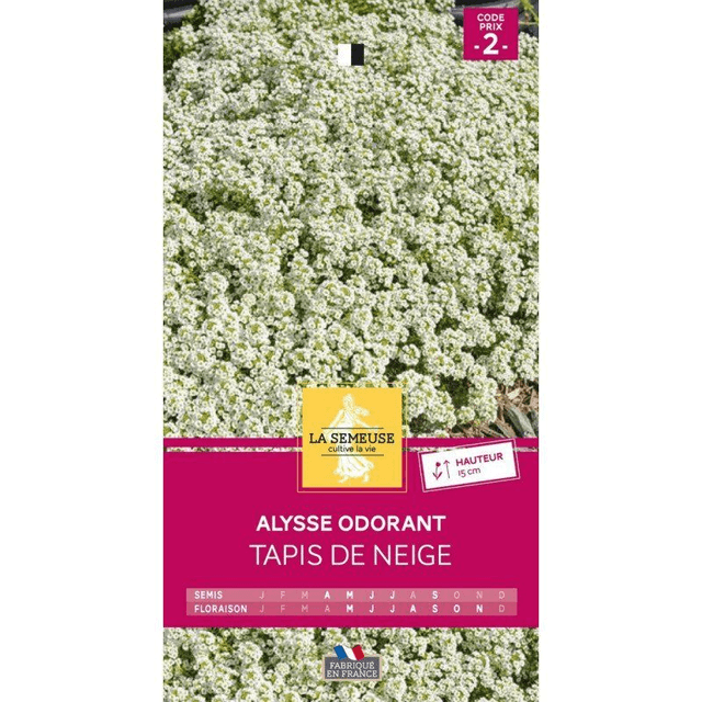 Alysse Odorant Tapis de Neige
