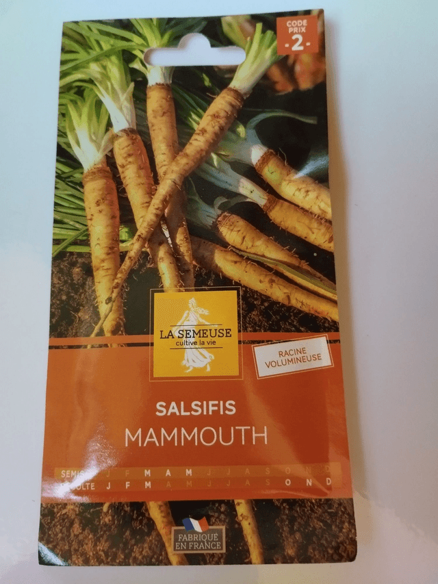 Salsifis Mammouth