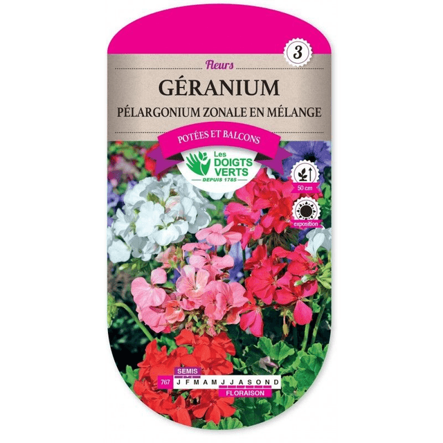 Géranium Pélargonium zonale en mélange