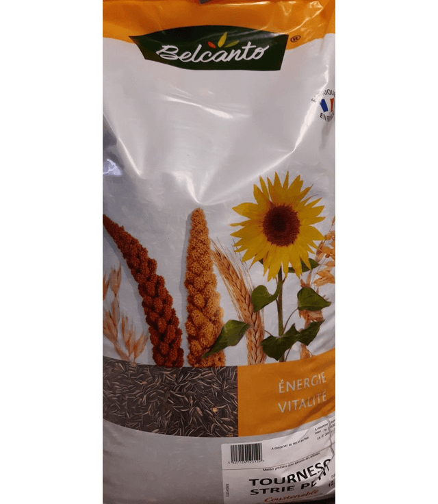 Tournesol