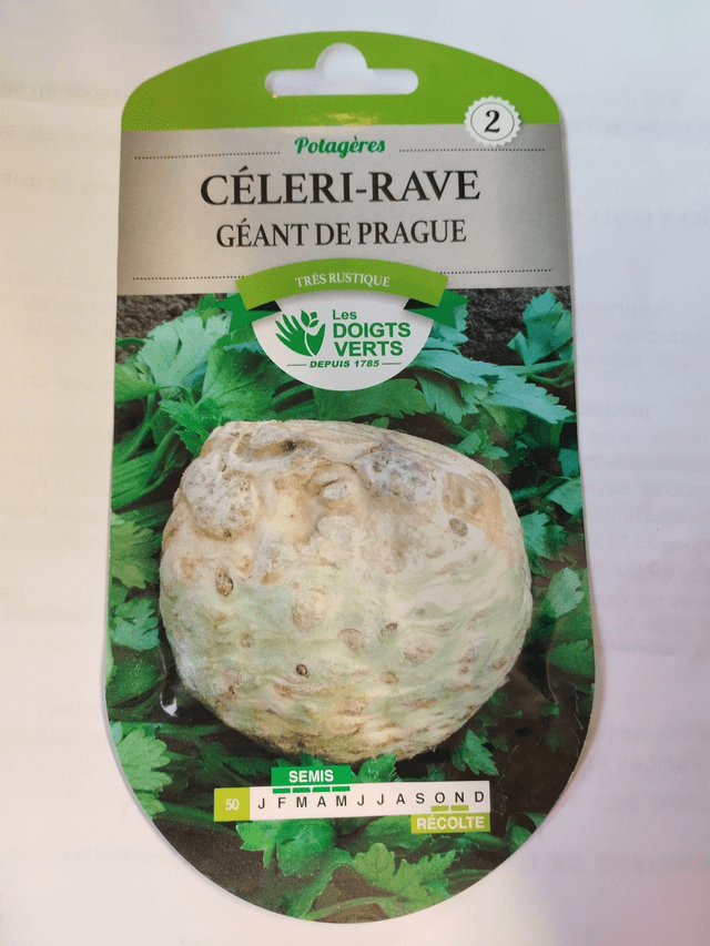 Céleri-Rave Géant de Prague