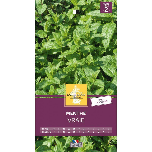 MENTHE VRAIE