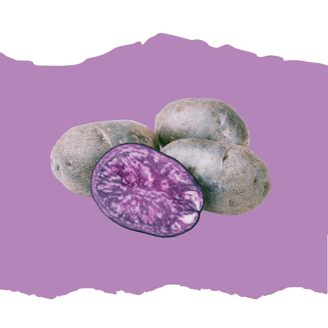 Vitelotte filet 1,5kg
