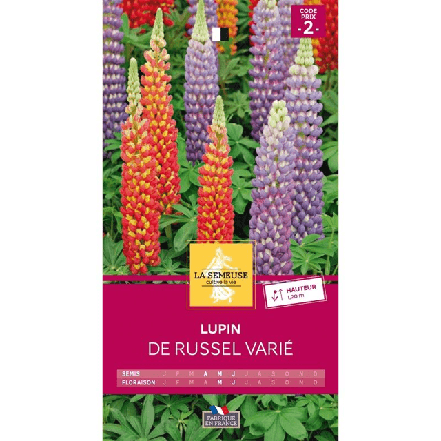 LUPIN DE RUSSEL VARIE