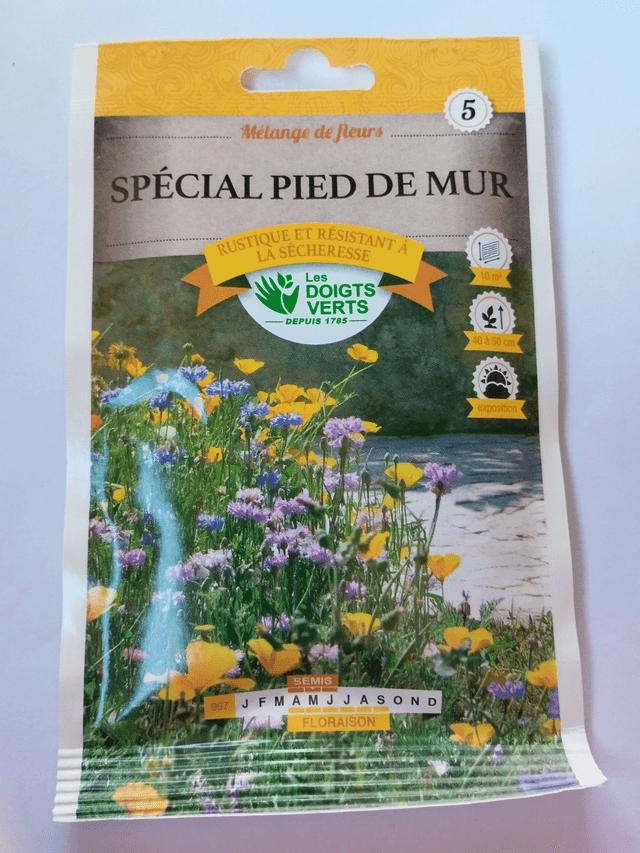 Mélange de fleurs spécial pied de mur