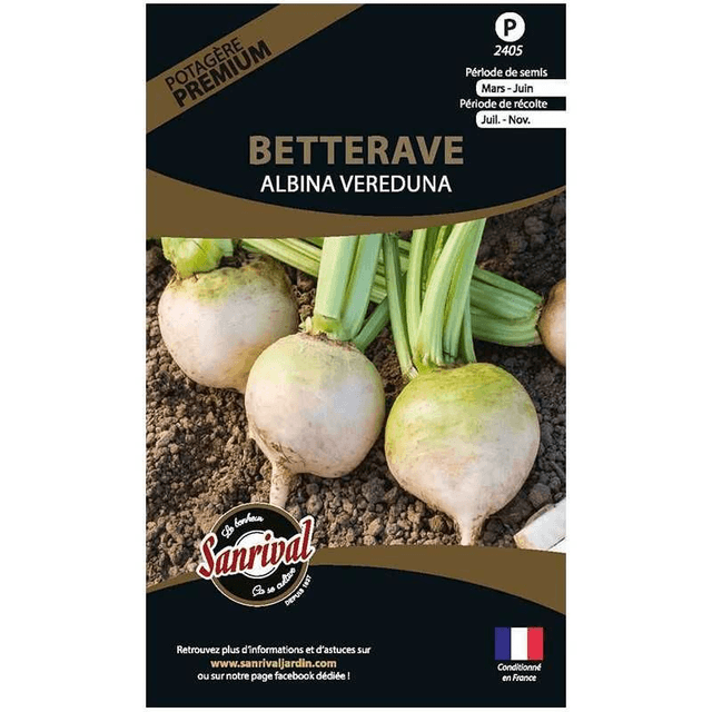 Betterave Albina Vereduna