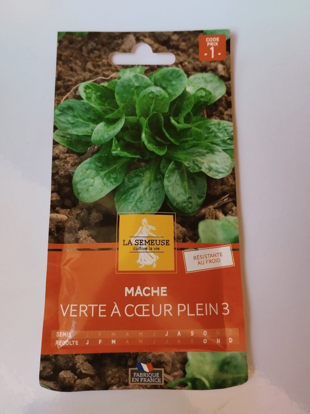 Mâche verte a cœur plein 3