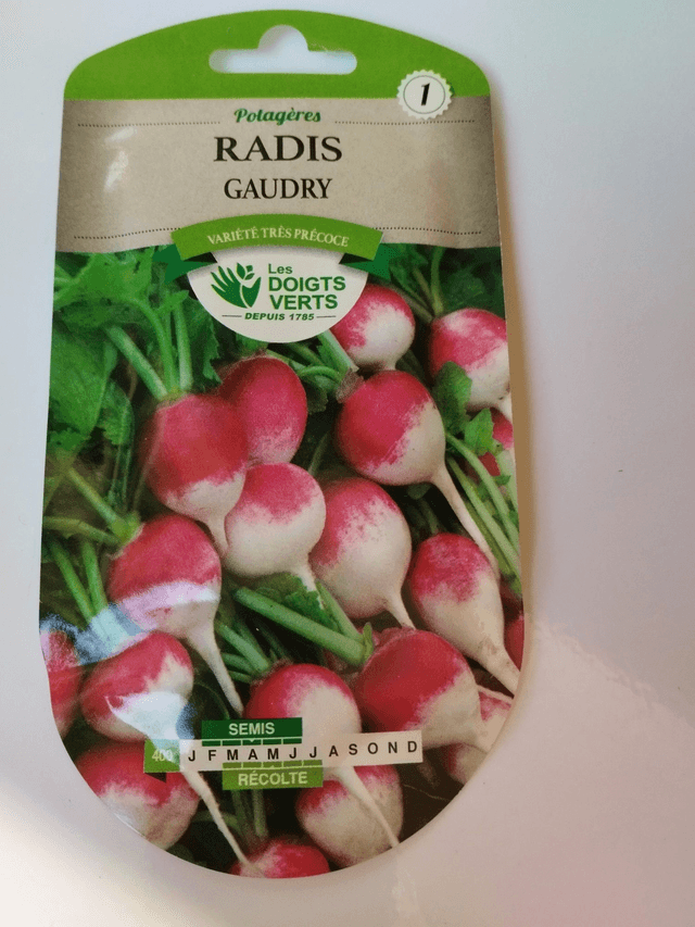 Radis Gaudry