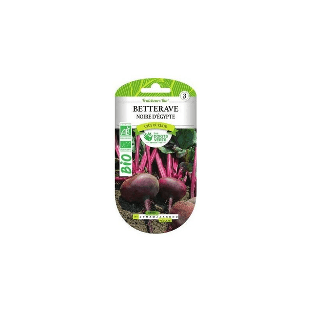 Betterave Noire d’Égypte BIO