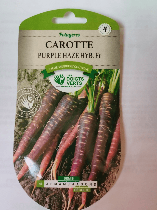 Carotte Purple Haze Hybride F1