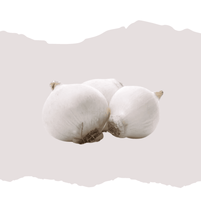 Oignon blanc Snowball
