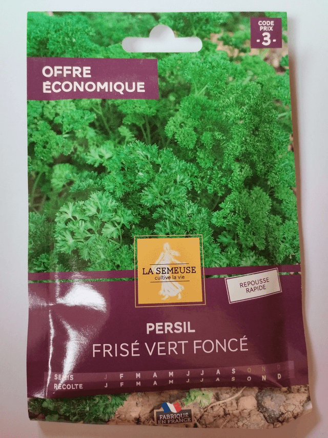 Persil Frisé vert foncé format éco