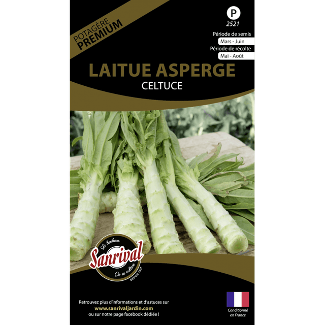 LAITUE ASPERGE CELTUCE