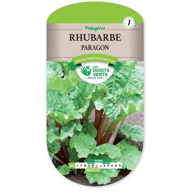 RHUBARBE PARAGON