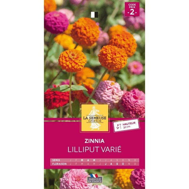 ZINNIA LILLIPUT VARIE