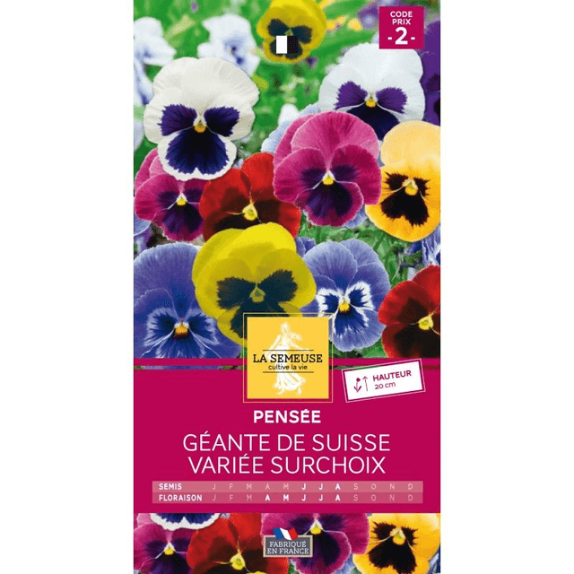 PENSEE GEANTE DE SUISSE VARIEE