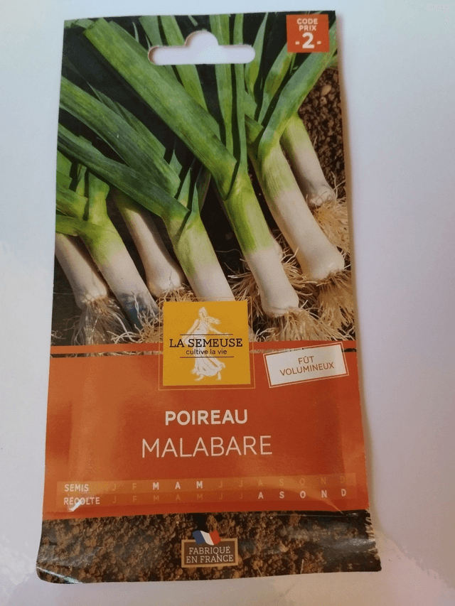 Poireau Malabare