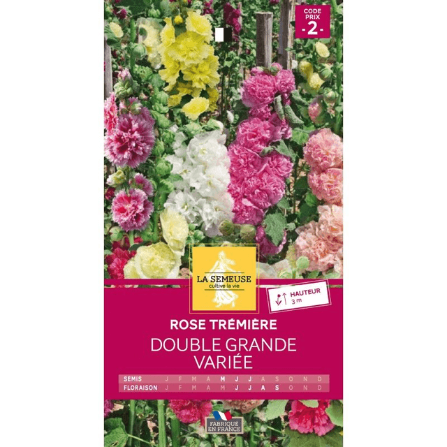 ROSE TREMIERE GRANDE DOUBLE VARIEE