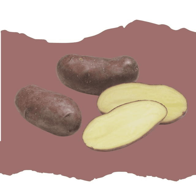 Chérie – Chair ferme et peau rouge