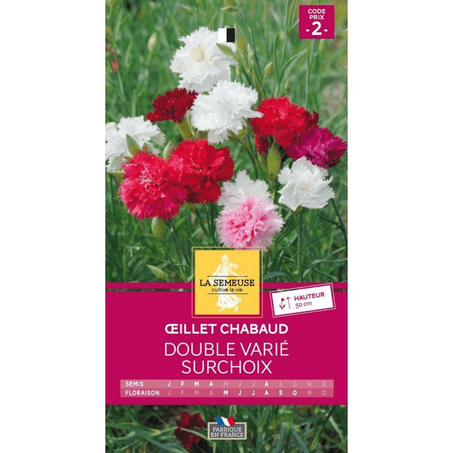OEILLET CHABAUD DOUBLE VARIE SURCHOIX