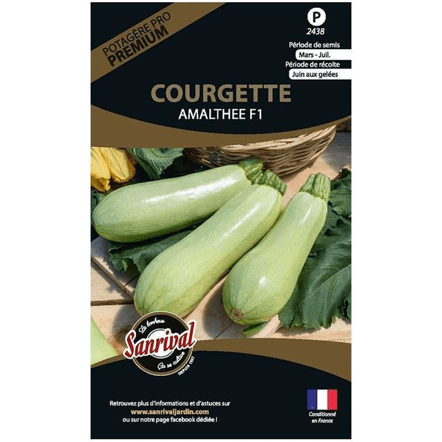 COURGETTE AMALTHEE